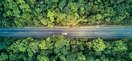 car driving down forest road