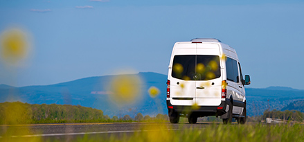 White van yellow flowers