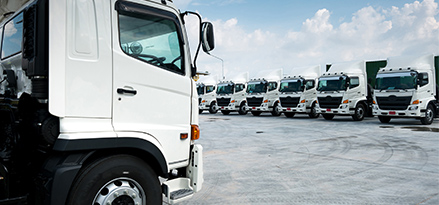 line of trucks parked